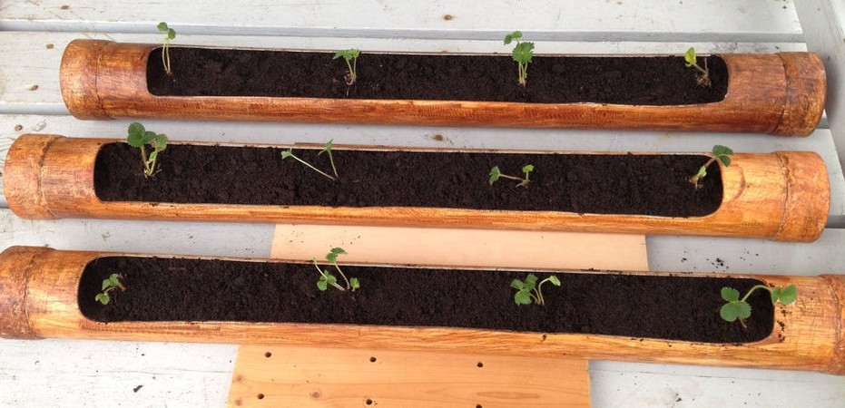 Искусственный бамбук из ПВХ - как горшок для клубники - фото 2