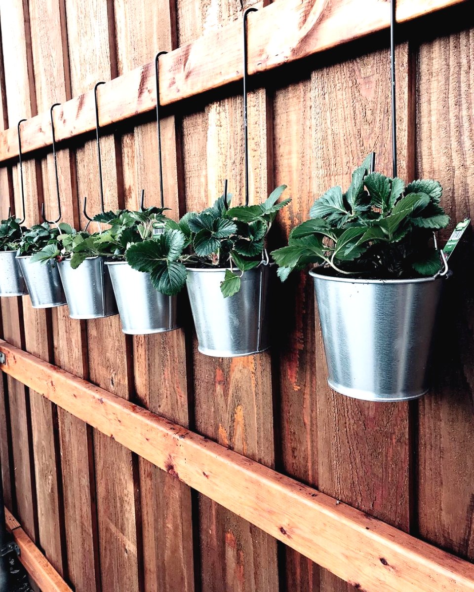 Оригинальные идеи для вертикального сада - фото 5
