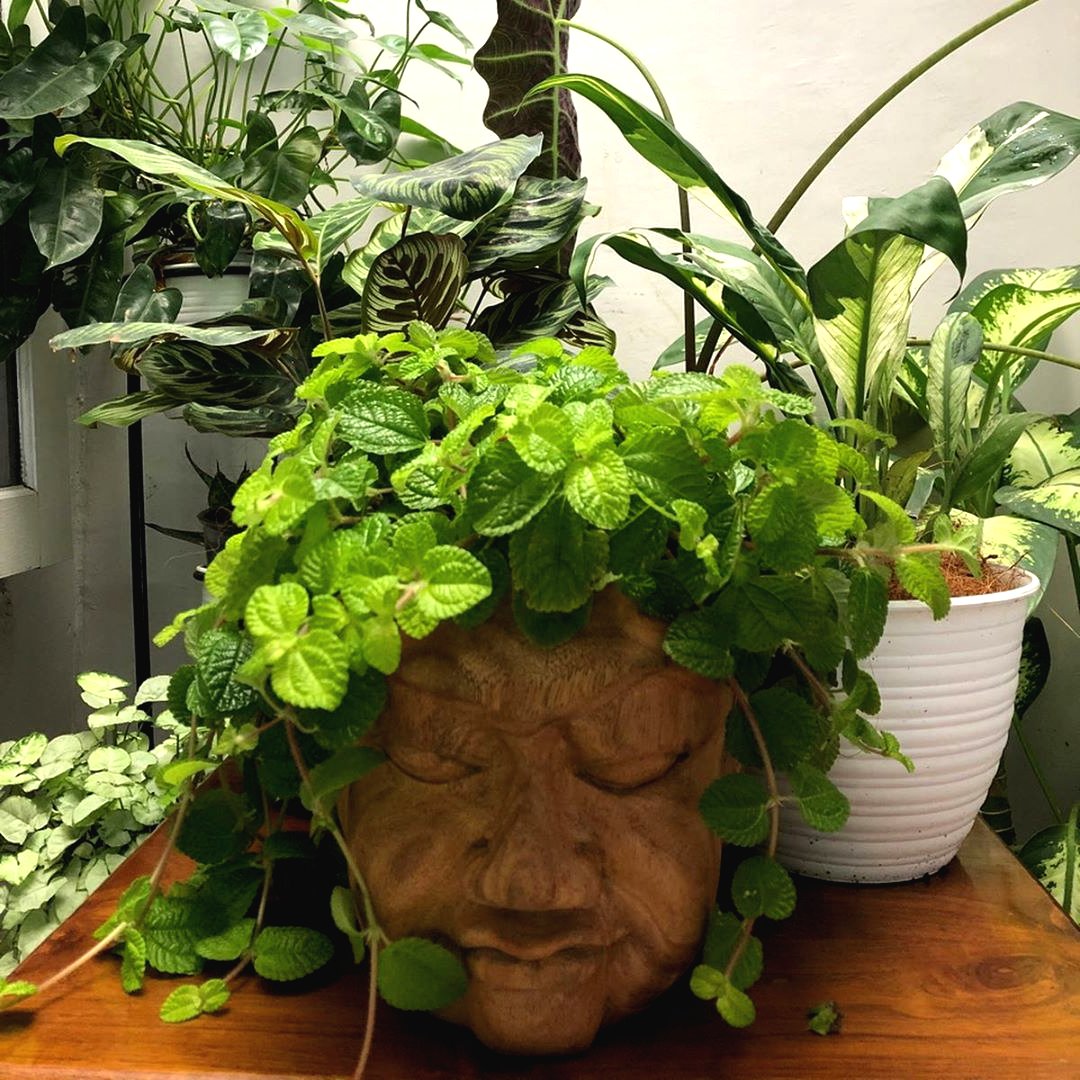 Оригинальный цветочный горшок - фото 3