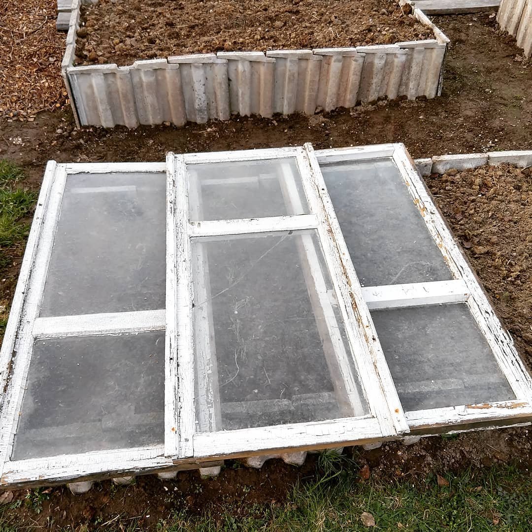 Небольшая оранжерея из старых окон - фото 2