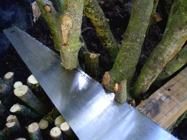 Клумба из веток - фото 9