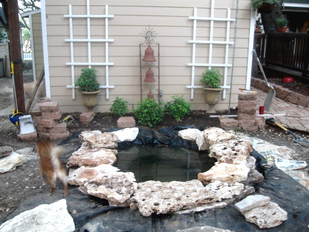 Пруд с водопадом  - фото 12