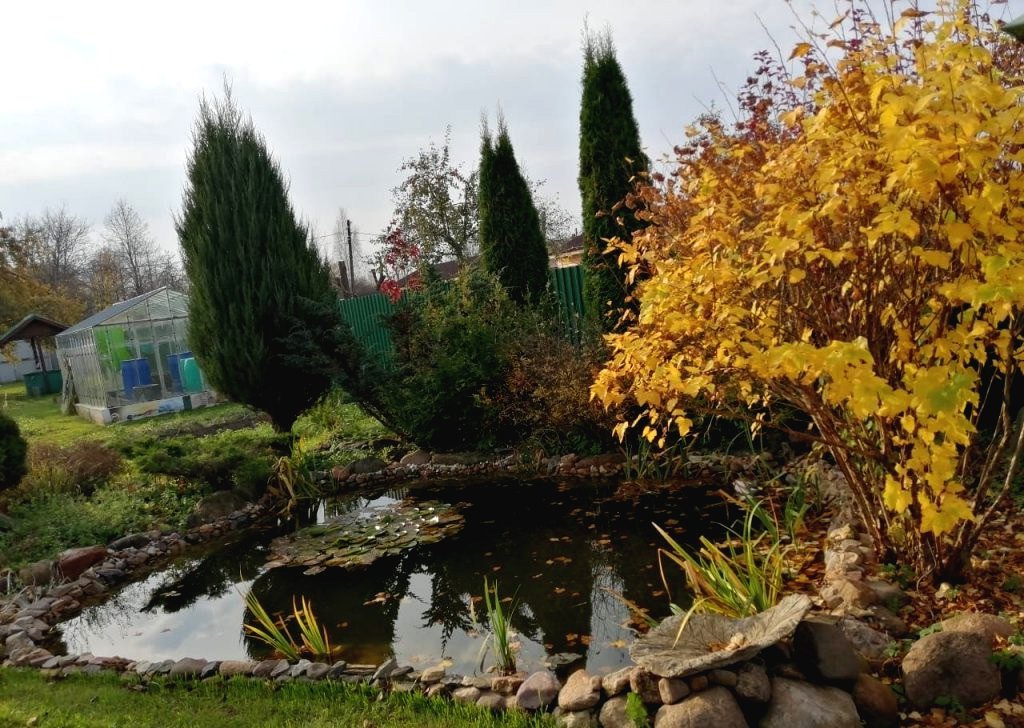 Пруд на дачном участке - фото 9