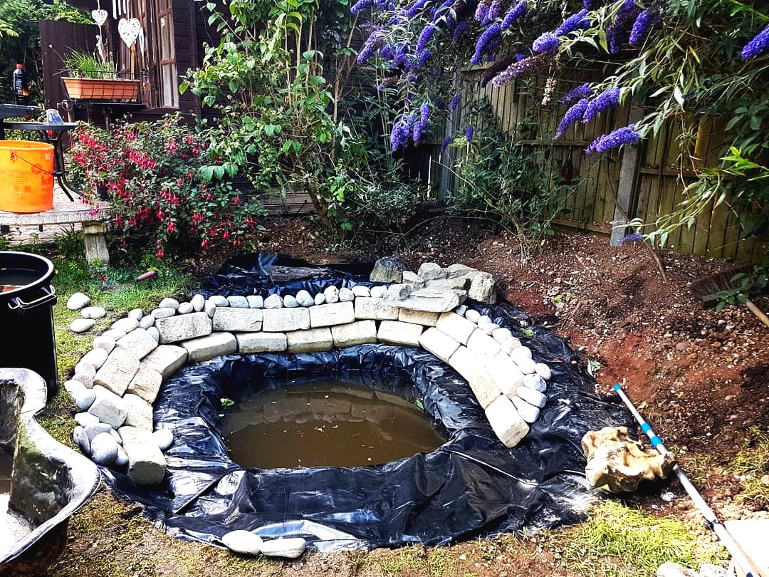 Пруд на даче - фото 6