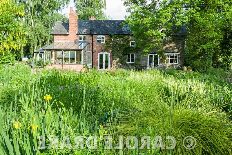 Сад в котором иглу из пустых бутылок вина - фото 12