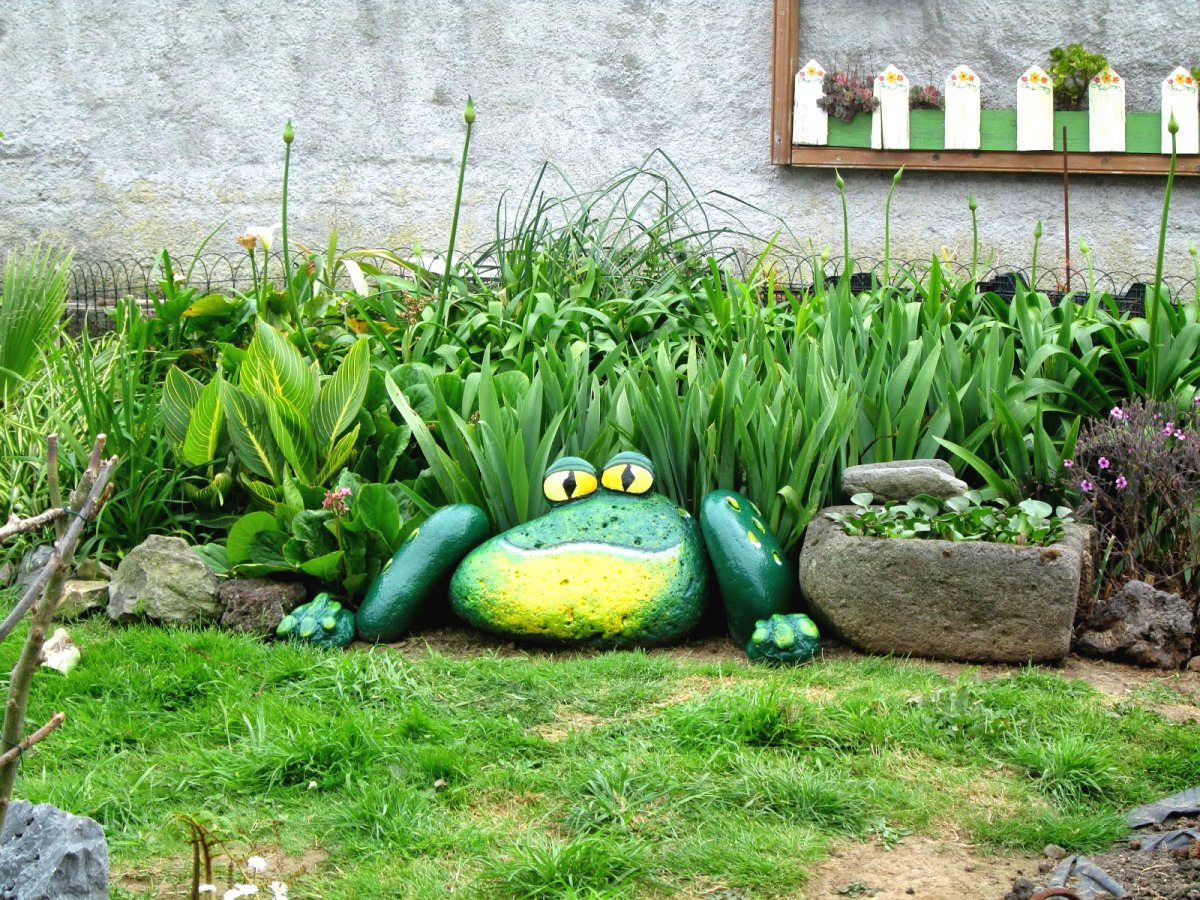 Садовая лягушка - фото 2