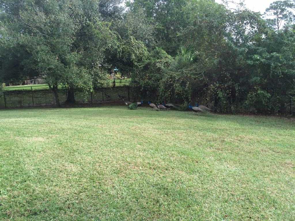 Детский дом на столбах со стеной для скалолазания - фото 2