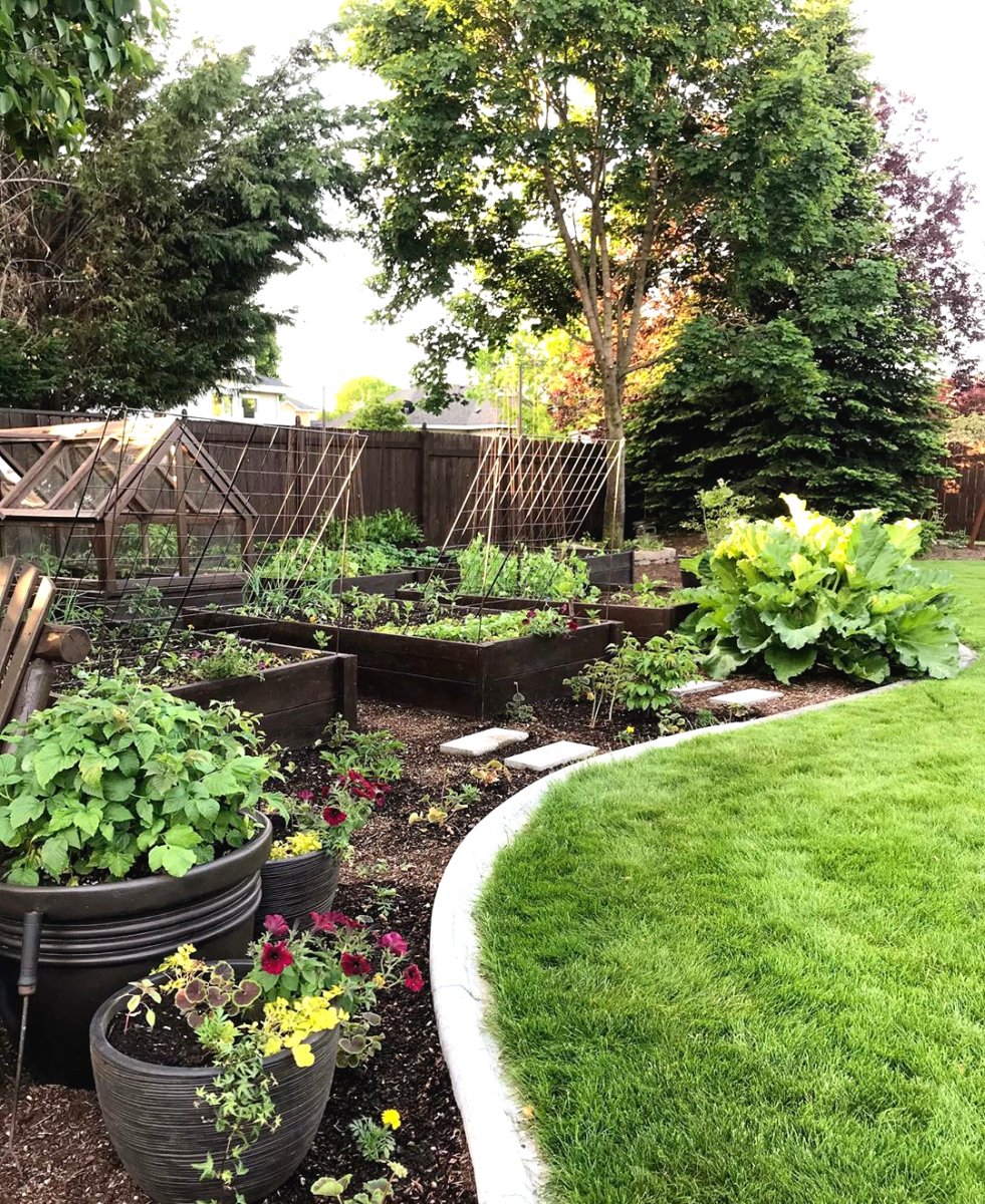 Мини теплица своими руками - фото 8