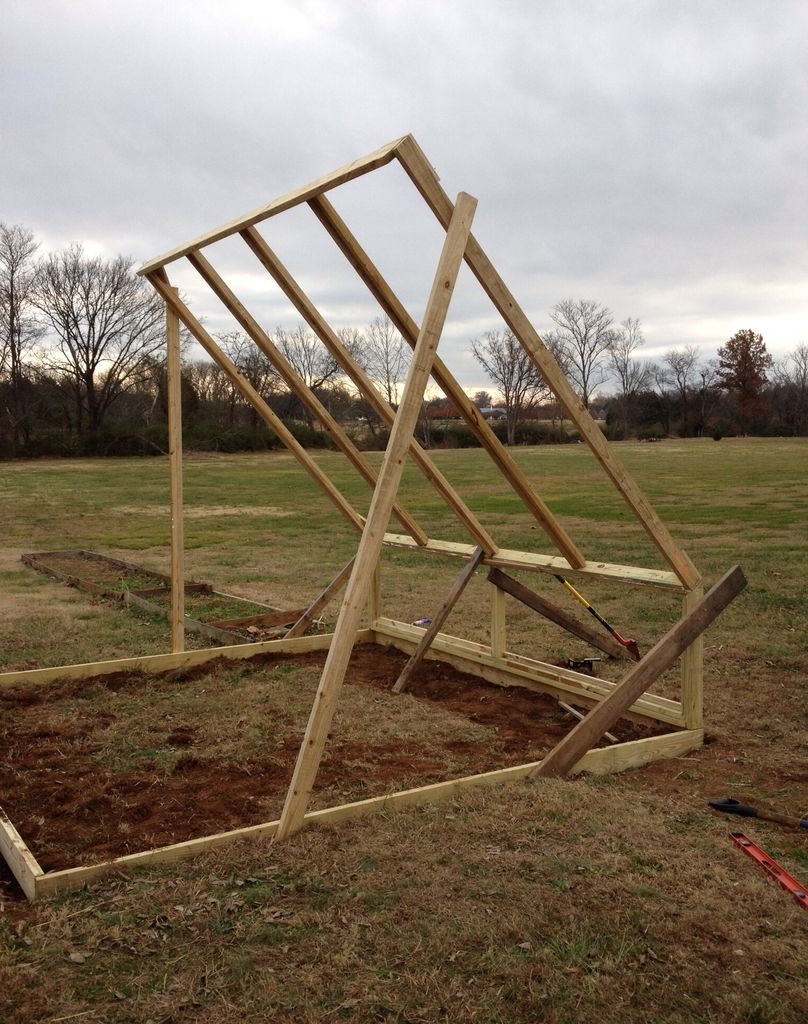 Теплица с оригинальным дизайном - фото 3