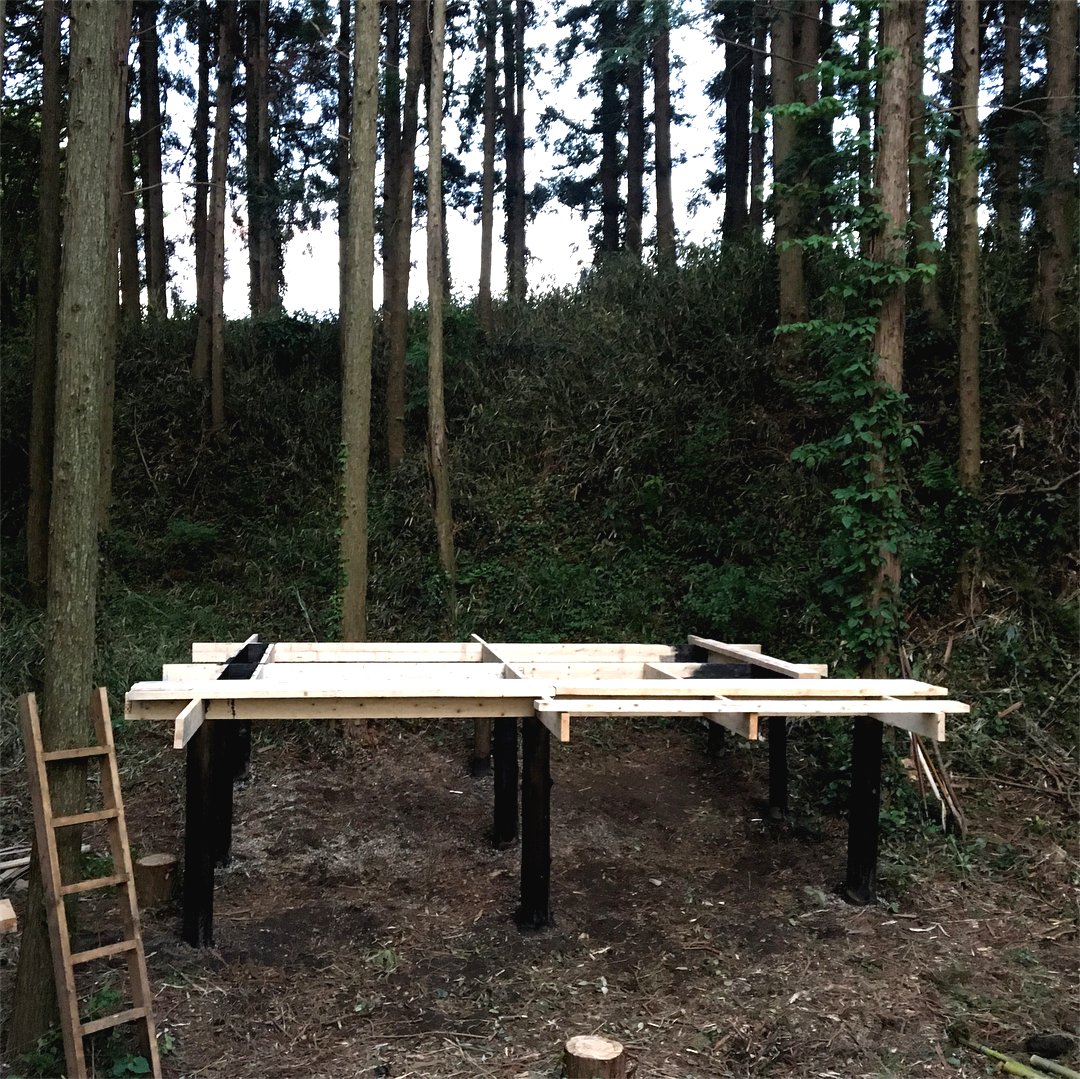 Хижина в лесу на деревянных столбах - фото 6