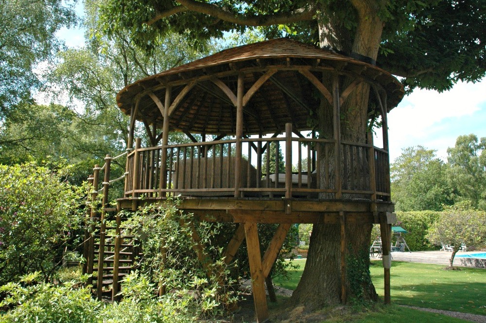 Беседка на дереве - фото 2