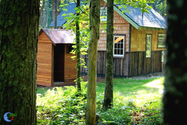 Домик из кедрового дерева - фото 9