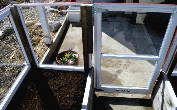 Высокая грядка из старых окон - фото 7