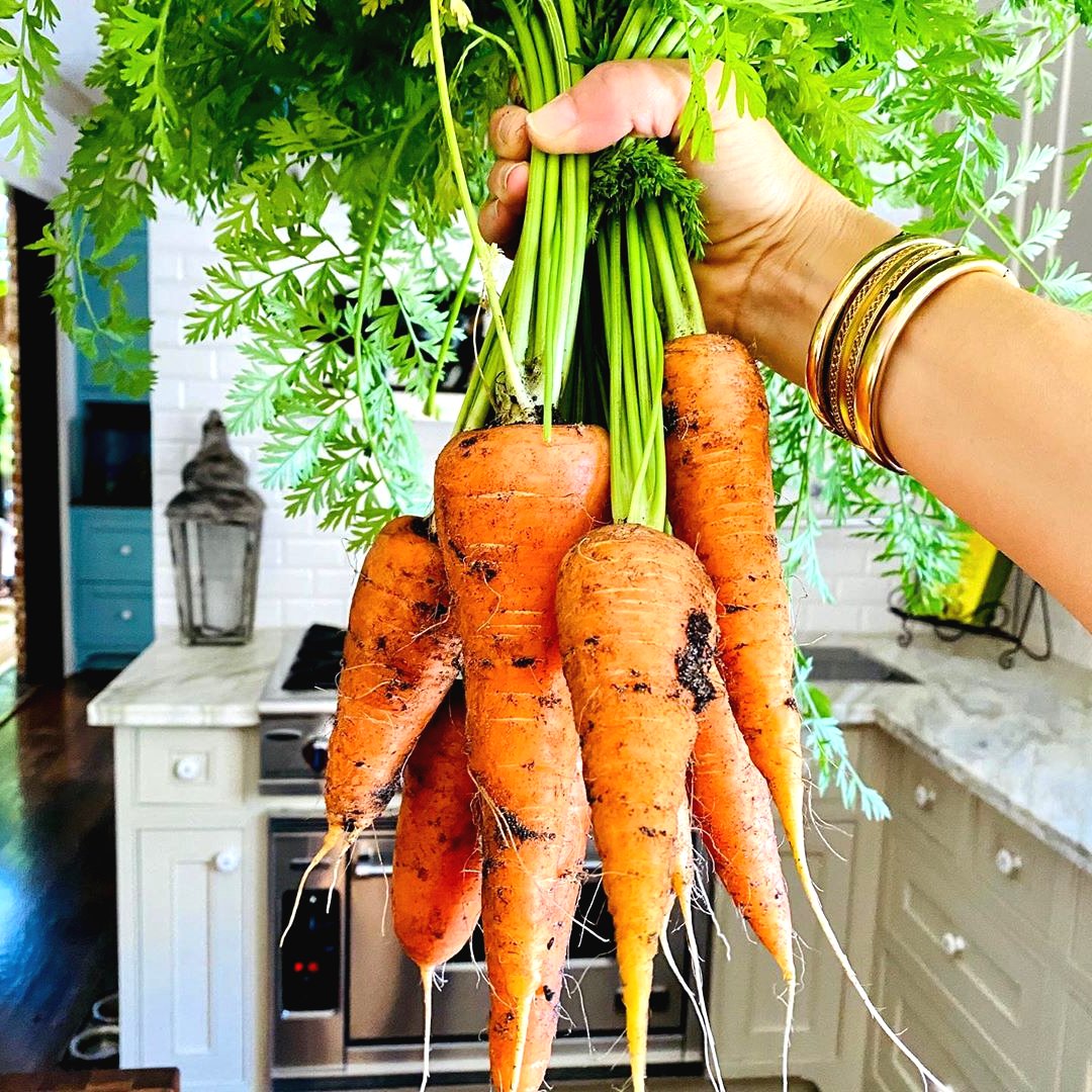 Как вырастить морковь на грядках - фото