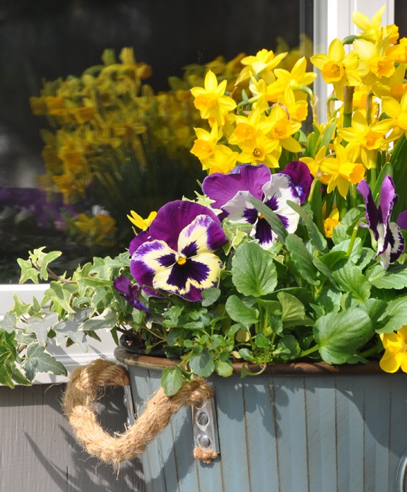 Железный ящик - фото 3