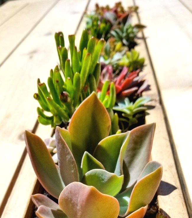 Обеденный стол из кедра - фото 6