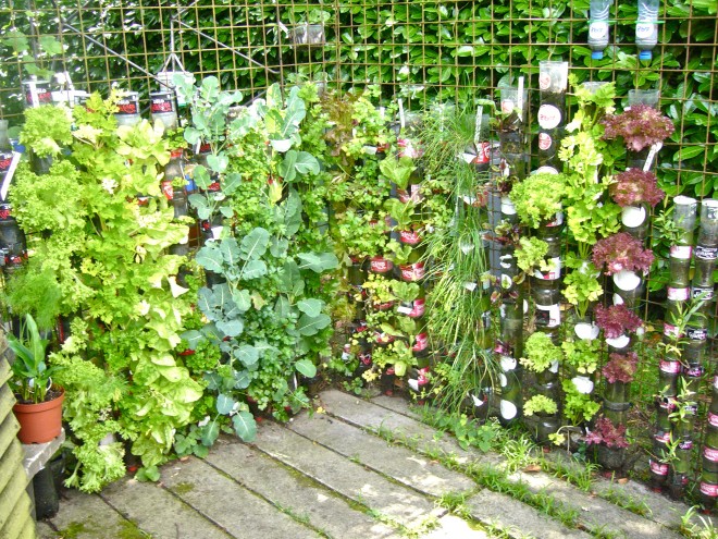 Вертикальный сад из пластиковых бутылок - фото 15