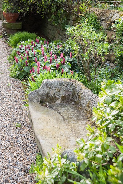 Йоркские ворота - дизайн сада - фото 18