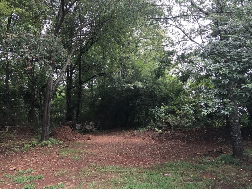 Удивительная оранжерея из старых окон - фото 4