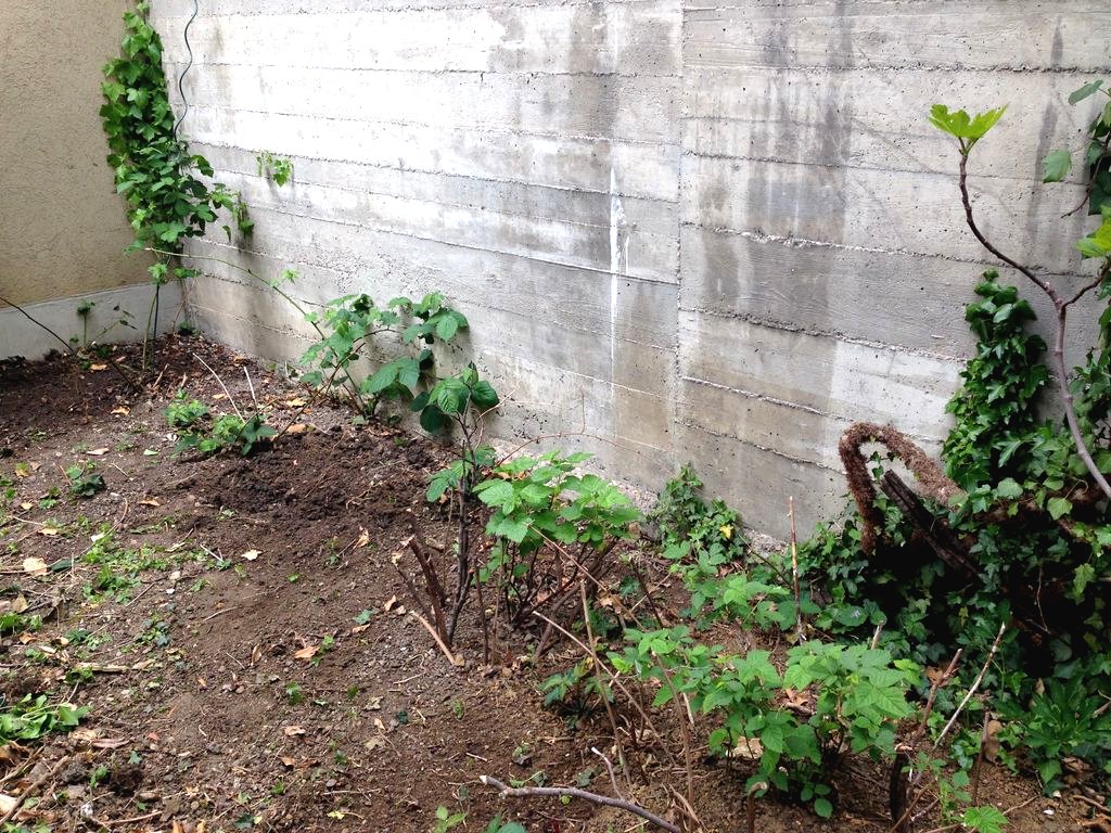 Шпалера из старой деревянной лестницы - фото 2