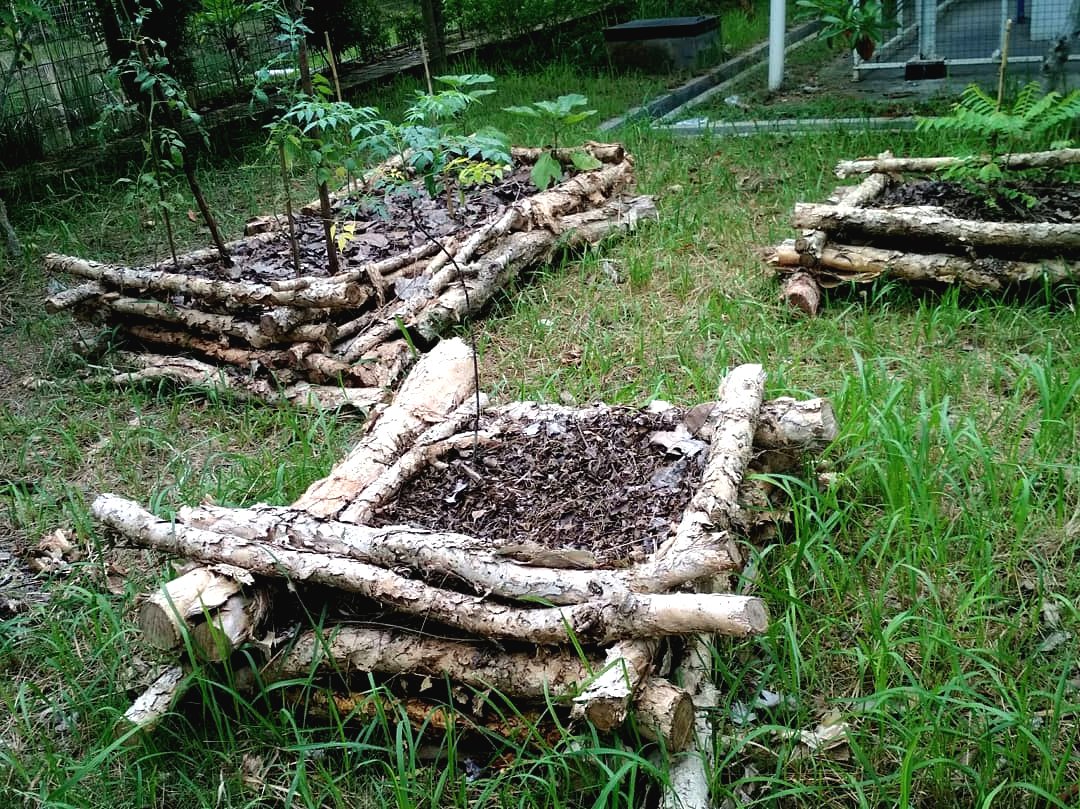 Грядки своими руками - фото 12