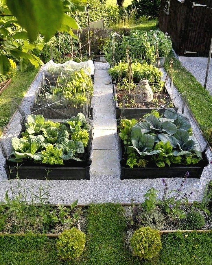 Грядки своими руками - фото 4