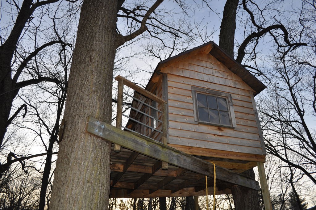 Дом на дереве - фото 2