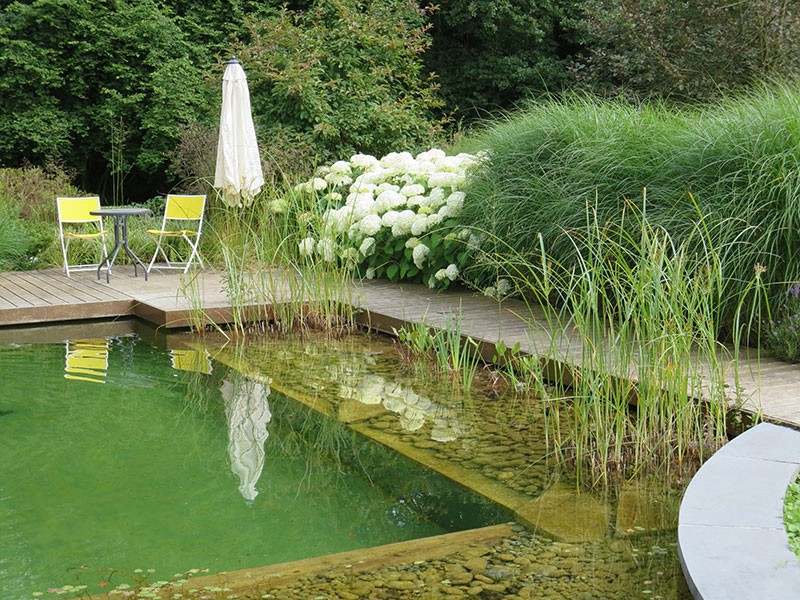 Естественный пруд - фото 3