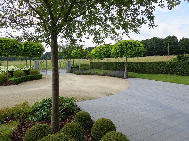 Естественный пруд - фото 8