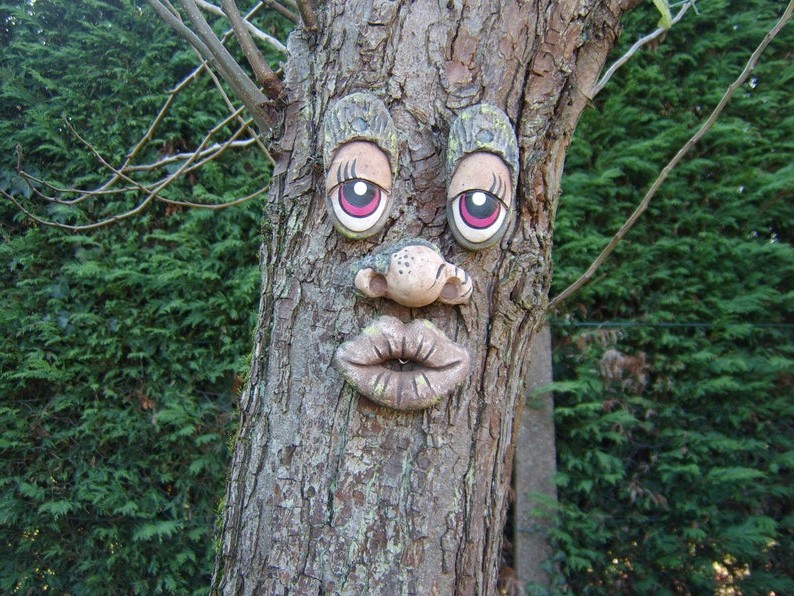 Смешные лица на деревьях - фото