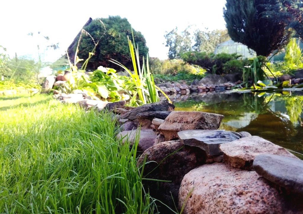 Пруд на дачном участке - фото 7