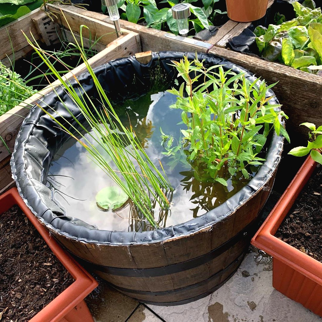 Мини пруд на даче своими руками - фото 8