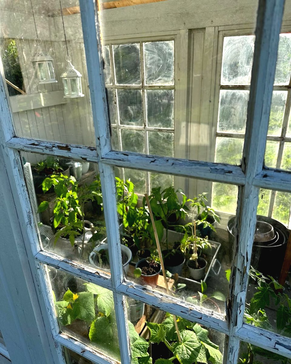 Теплица своими руками: создай идеальный уголок для растений! - фото 5