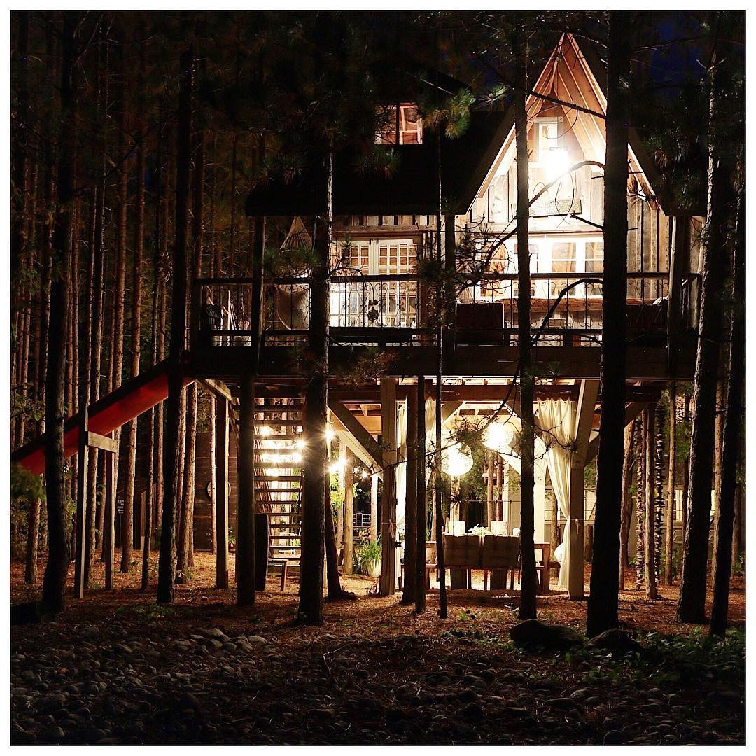 Дом на дереве - фото 14