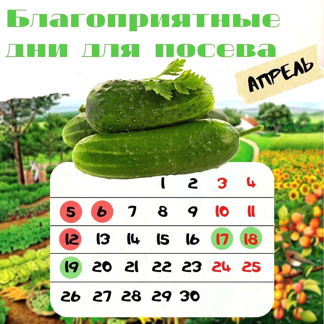 Лунный календарь на апрель - фото 3