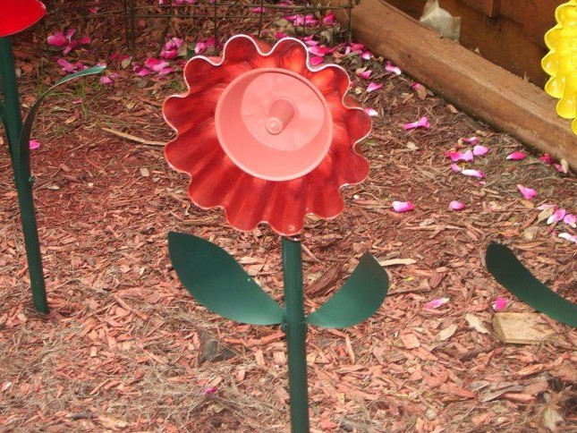 Цветы, которые не нуждаются в уходе - фото 6