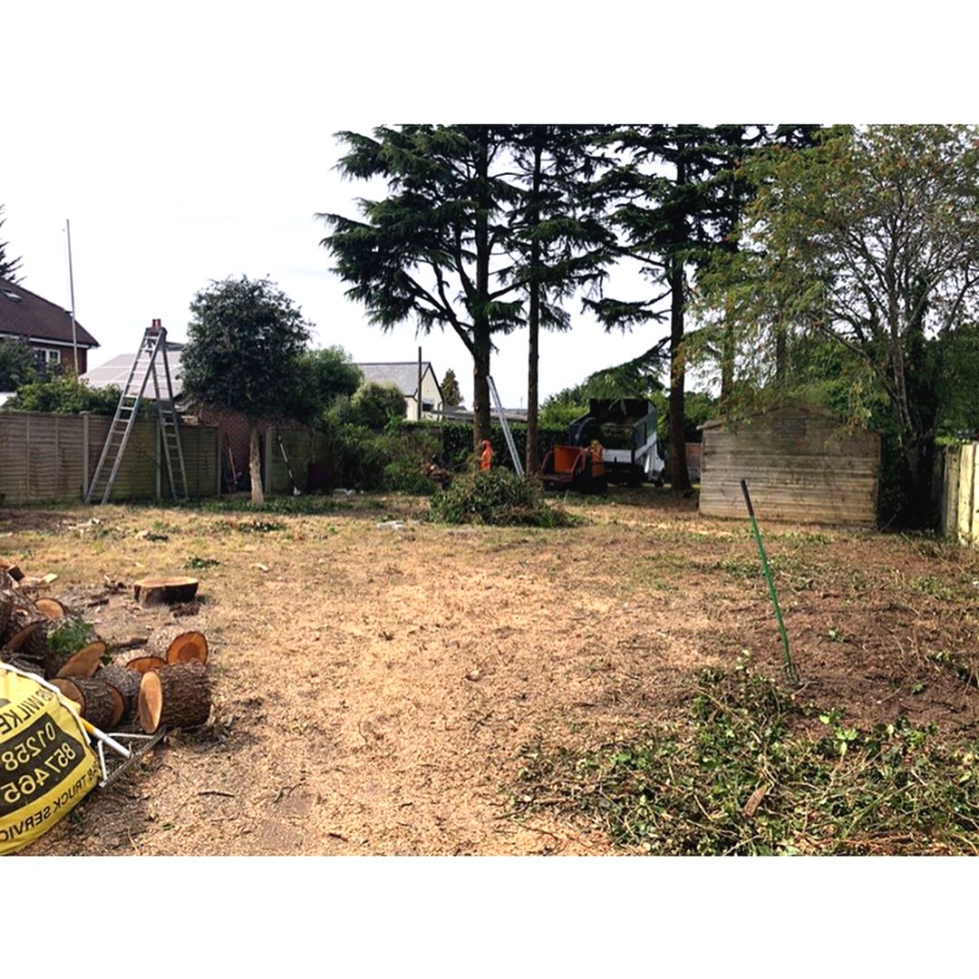 Необычное оформление огорода своими руками - фото 2