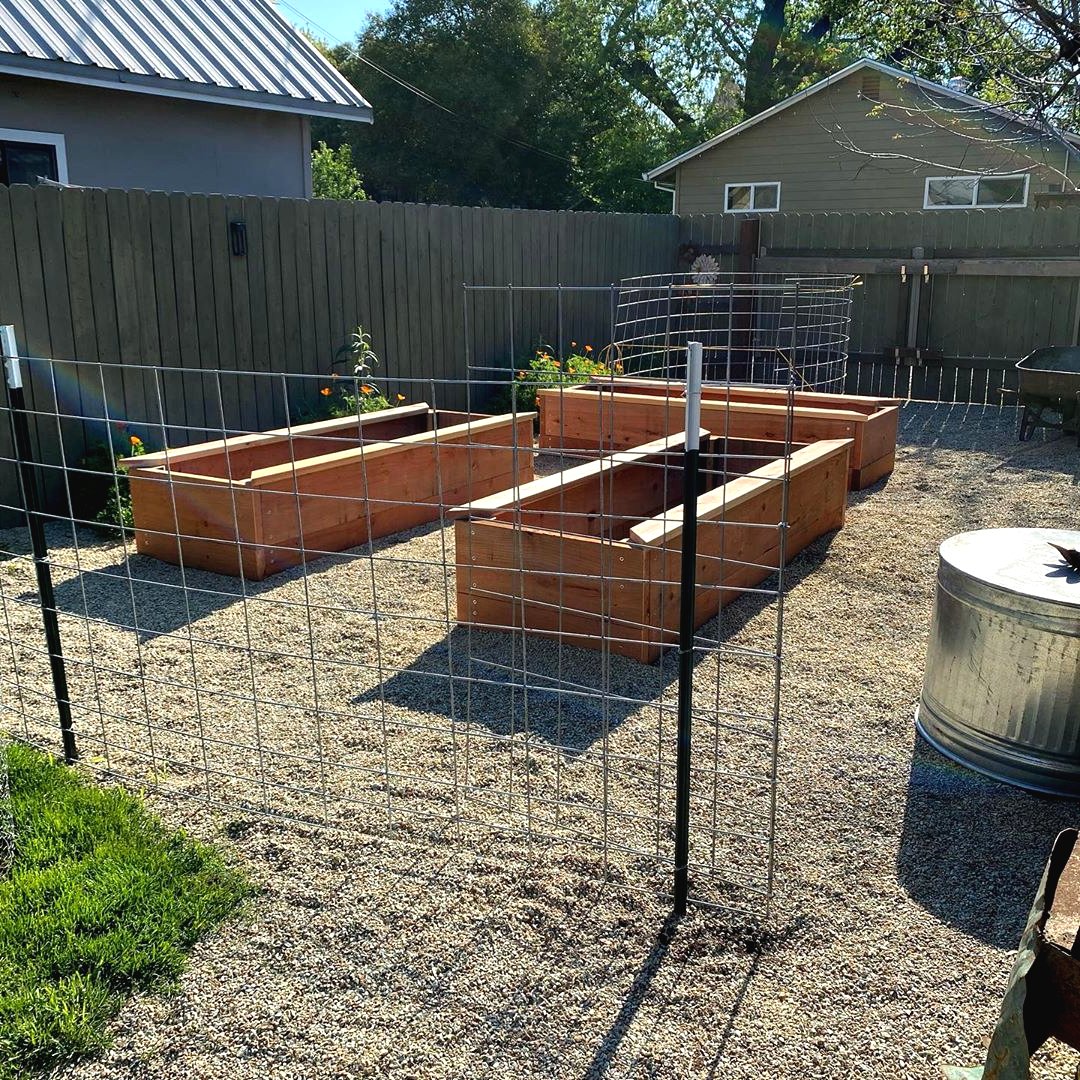 Грядки в открытом грунте для огурцов - фото 2