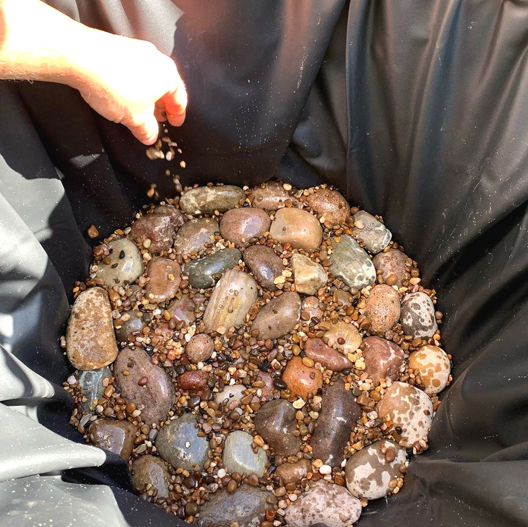 Мини пруд на даче своими руками - фото 5