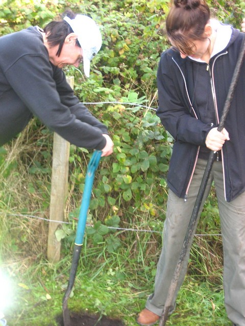 Необычная беседка из пластиковых бутылок - фото 7