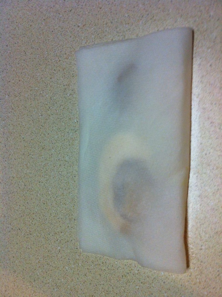 Как вырастить манговое дерево - фото 8