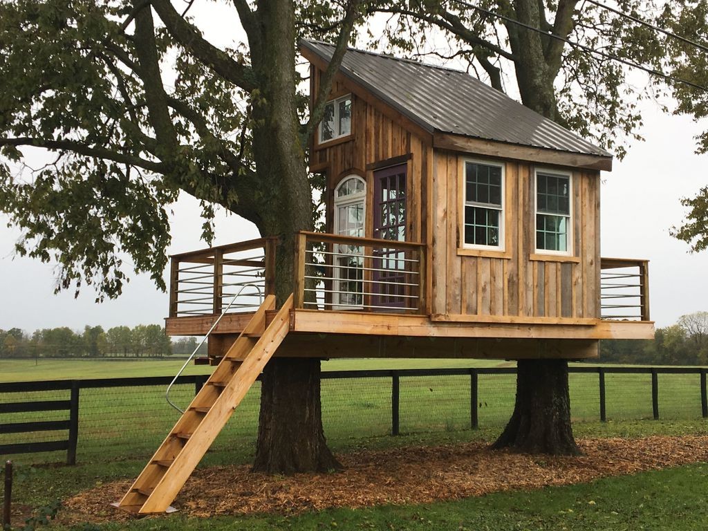Крутой дом на дереве - фото