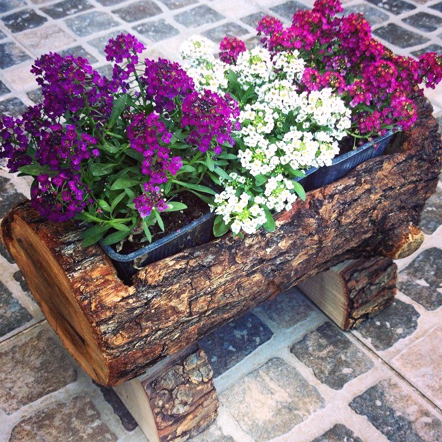 Оригинальные клумбы - фото 6