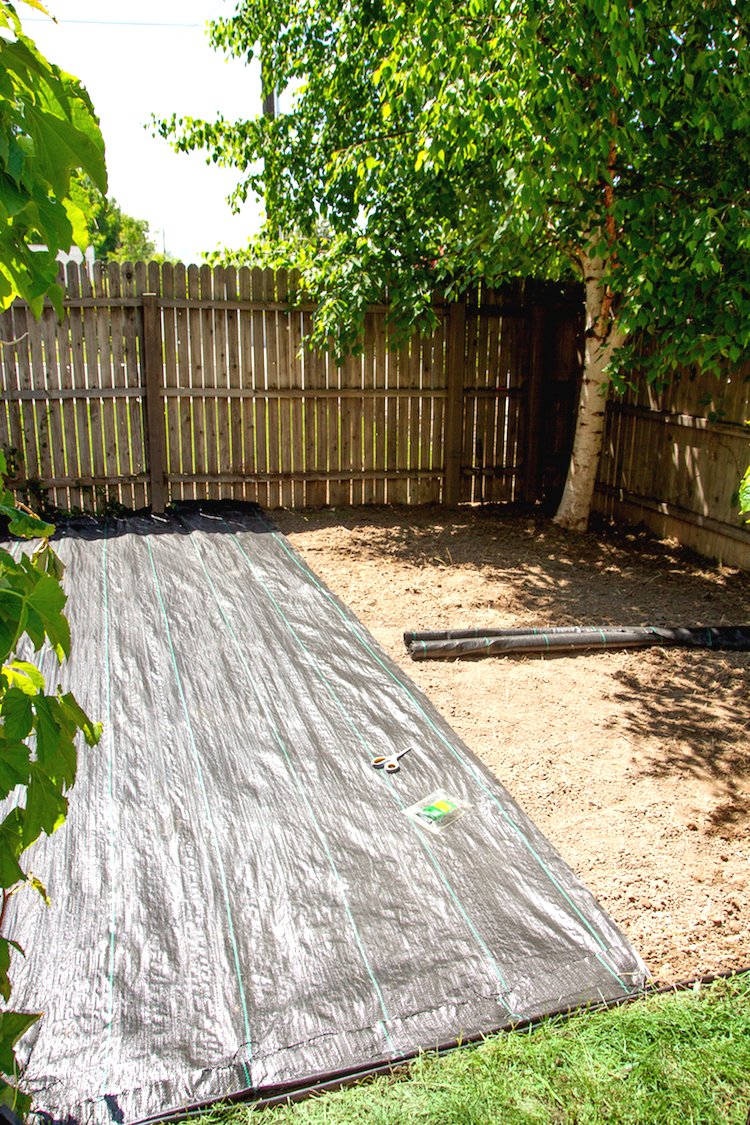 Облагораживаем участок - фото 5