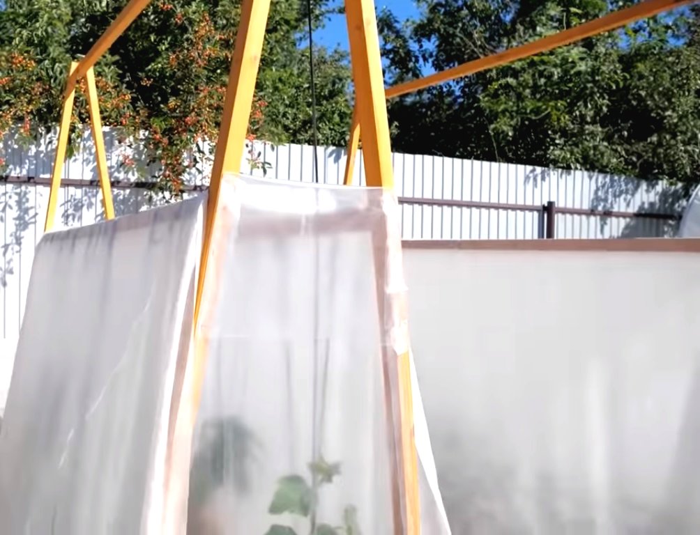 Необычные грядки из дерева - фото 2