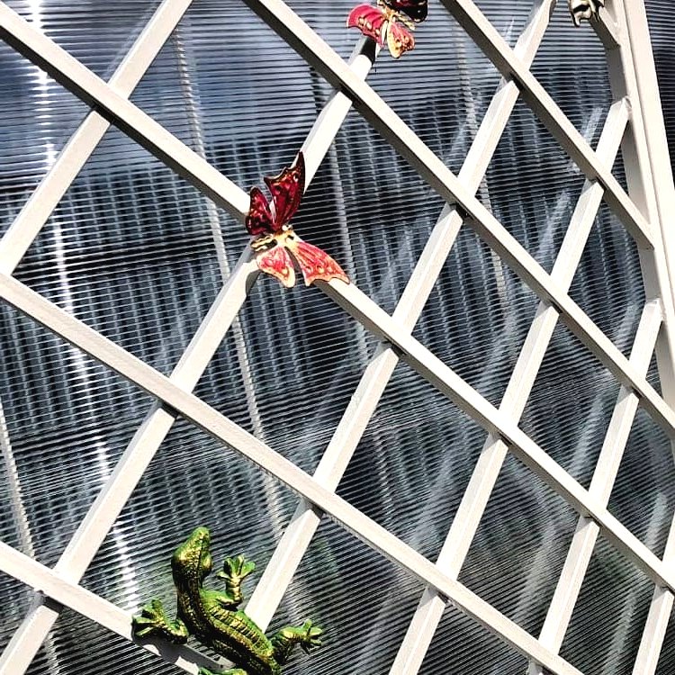 Теплица из поликарбоната - фото 4