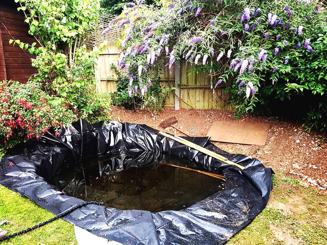 Пруд на даче - фото 5