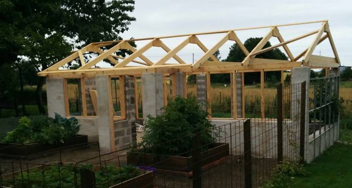 Оранжерея - фото 4