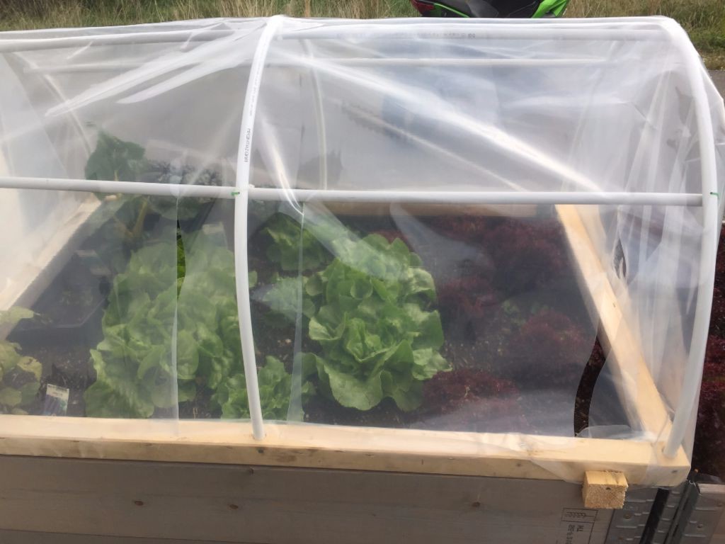 Небольшая теплица - фото 10