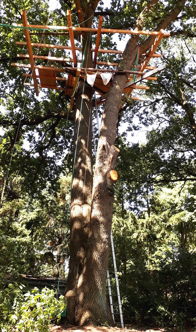 Оригинальный домик на дереве - фото 9